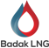 Solutions Badak LNG