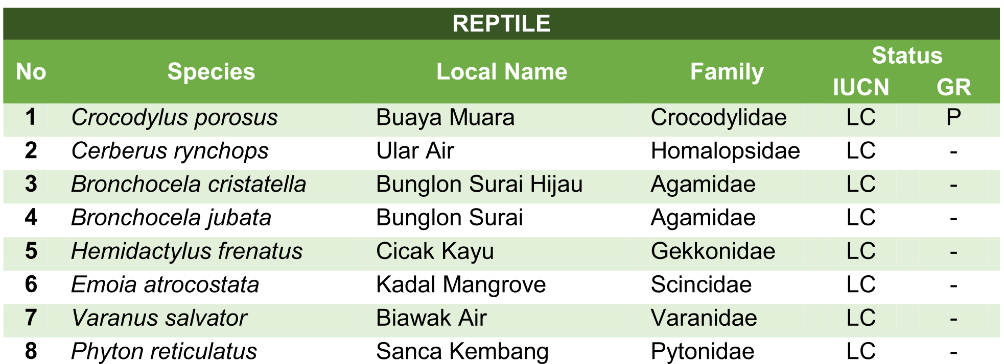 Mangrove Activity