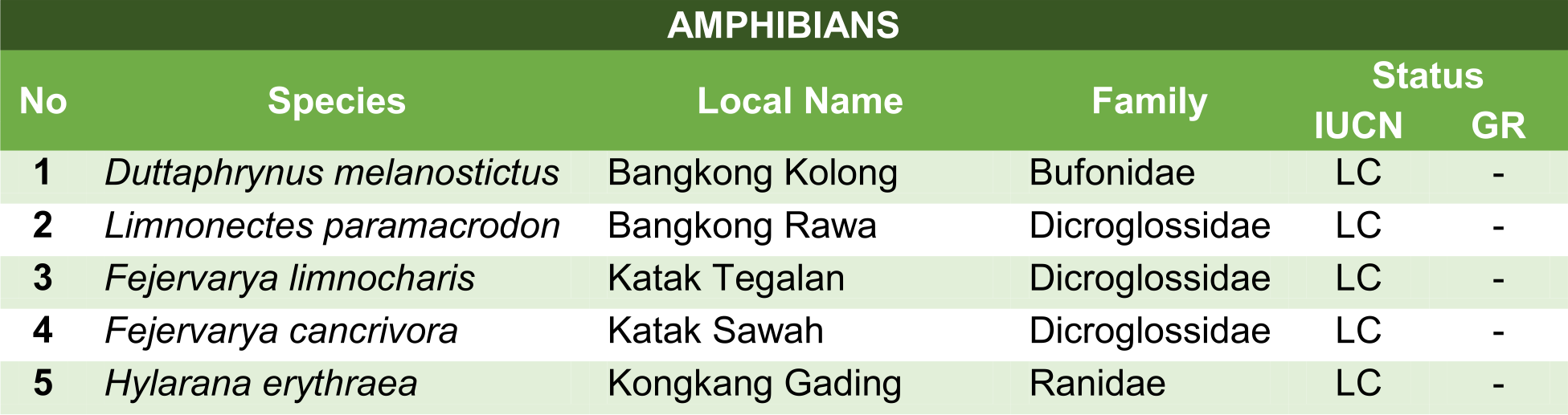 Mangrove Documentation