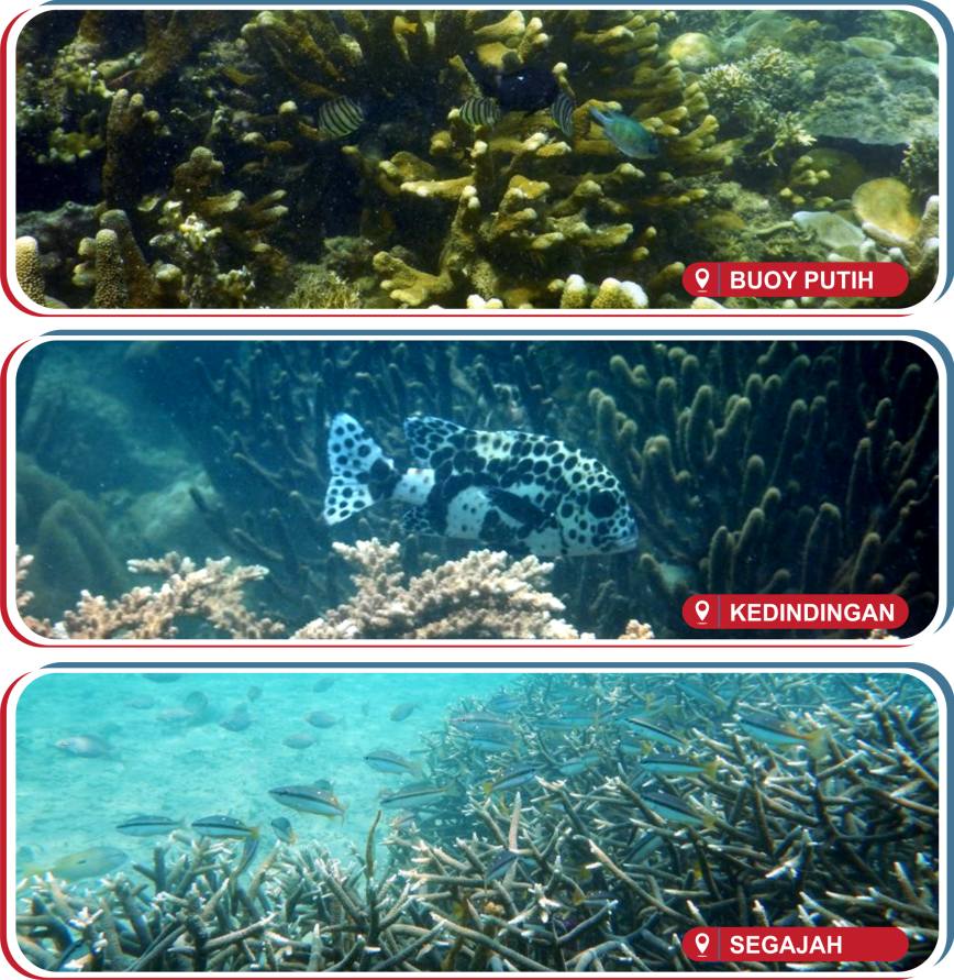 Marine Conservation Area