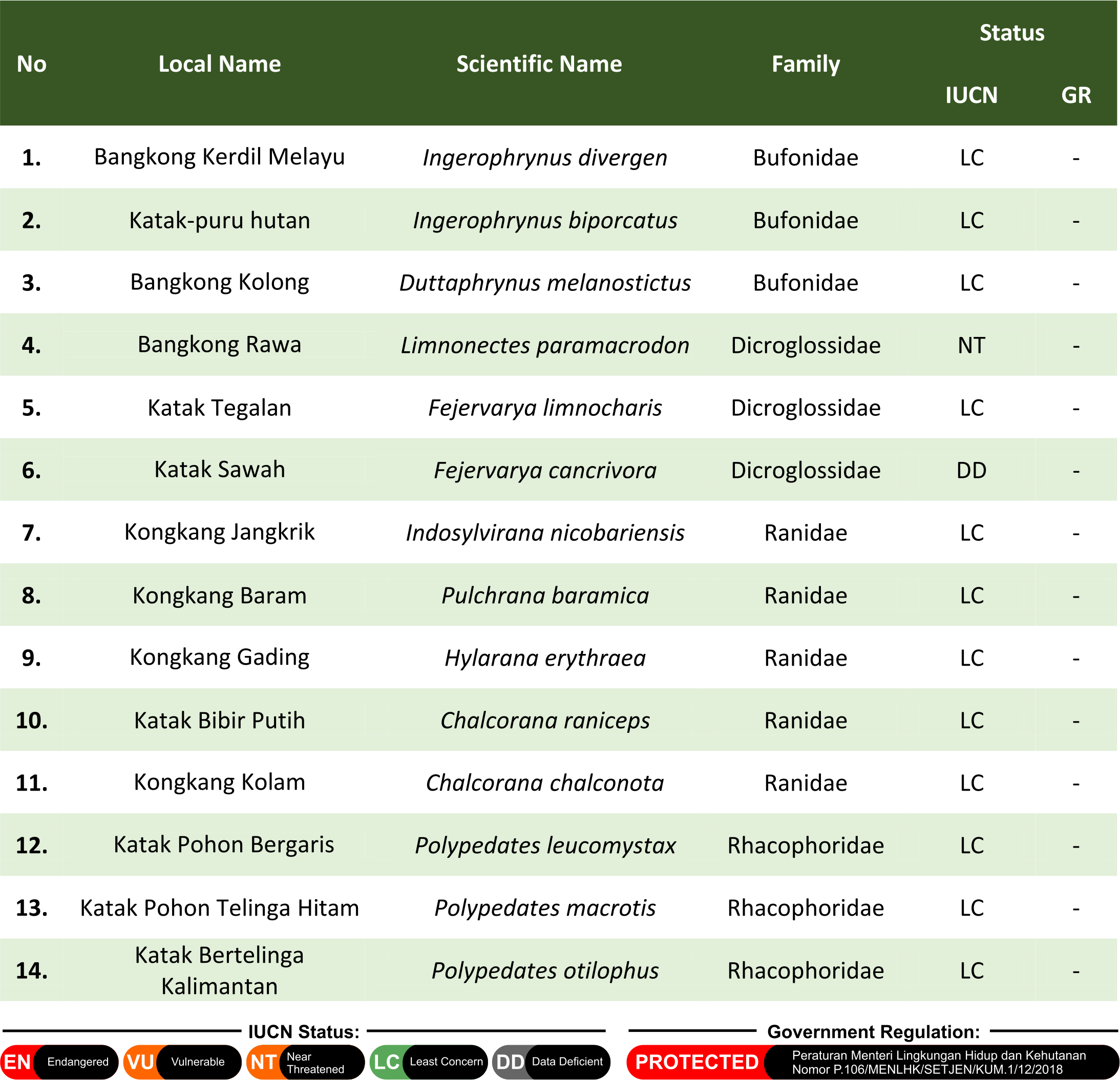 Amphibian species documentation