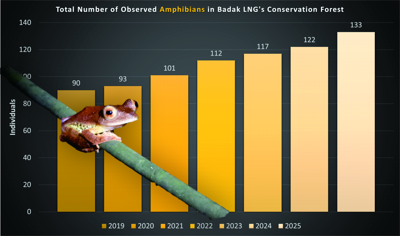 Graph 17