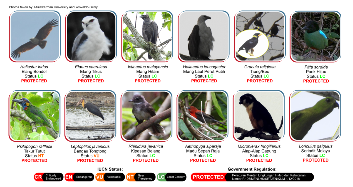 Avifauna population trend in Badak LNG Conservation Forest