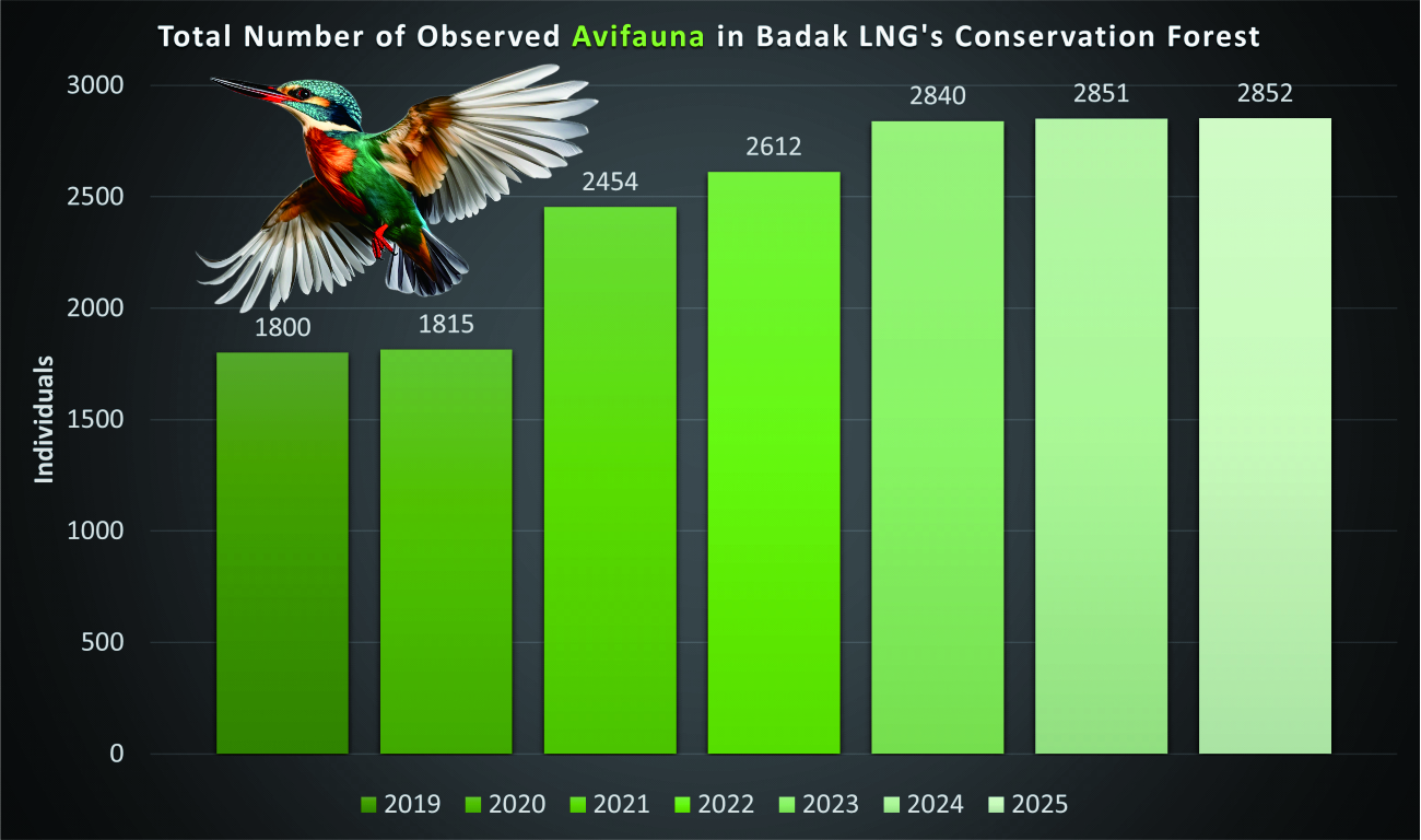 Graph 12