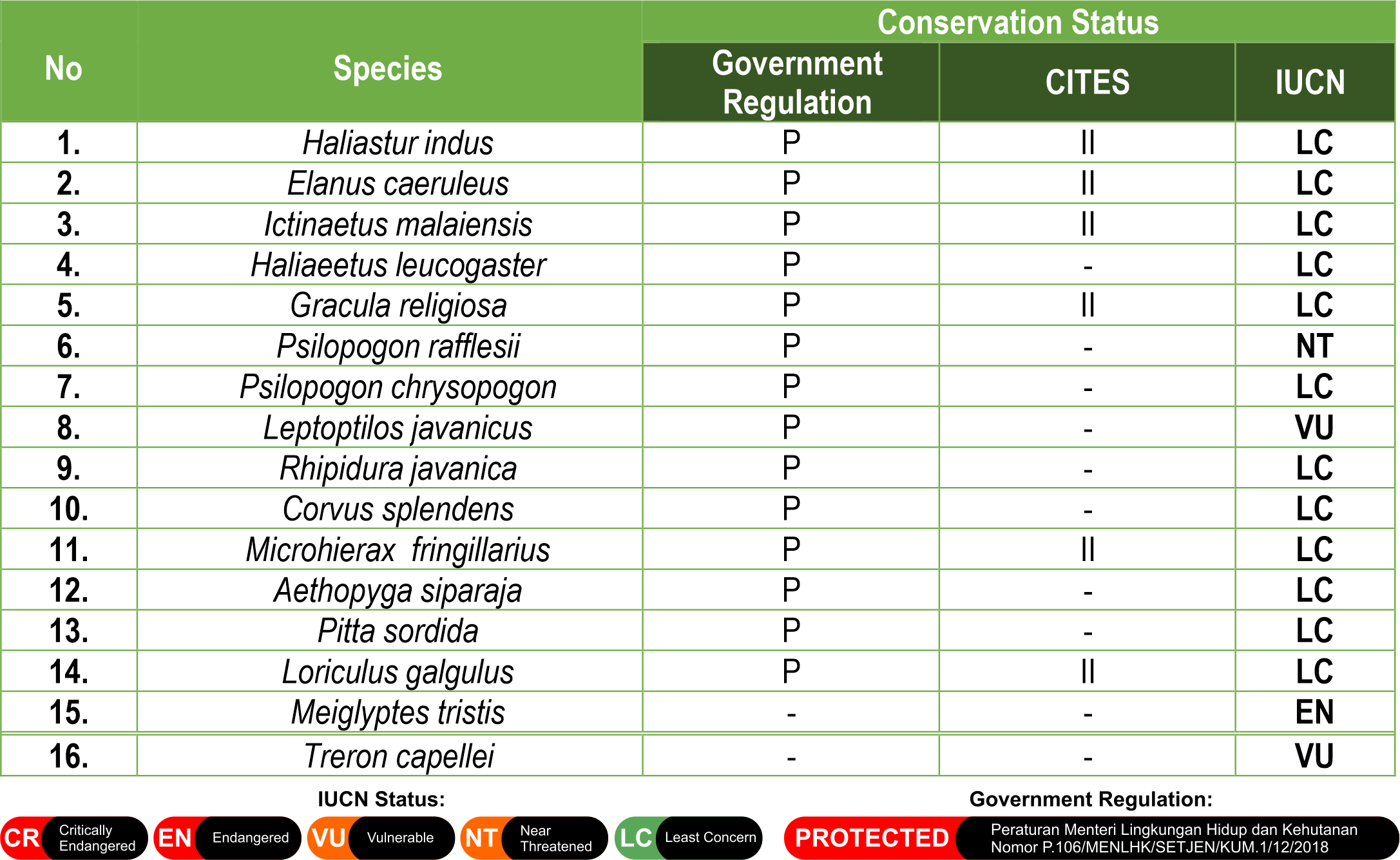 Avifauna species documentation