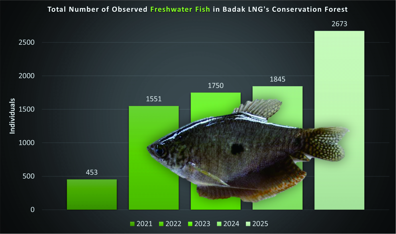 Freshwater fish population trend in Badak LNG Conservation Forest