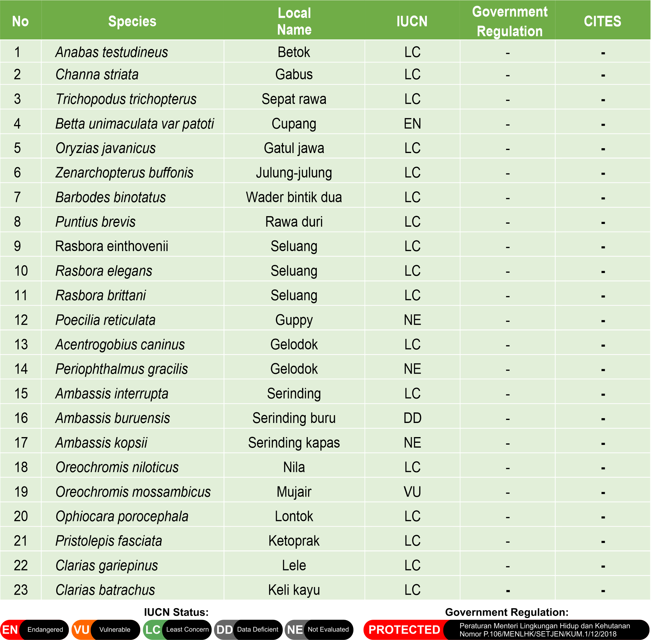 Complete list of freshwater fish species in Badak LNG Conservation Forest