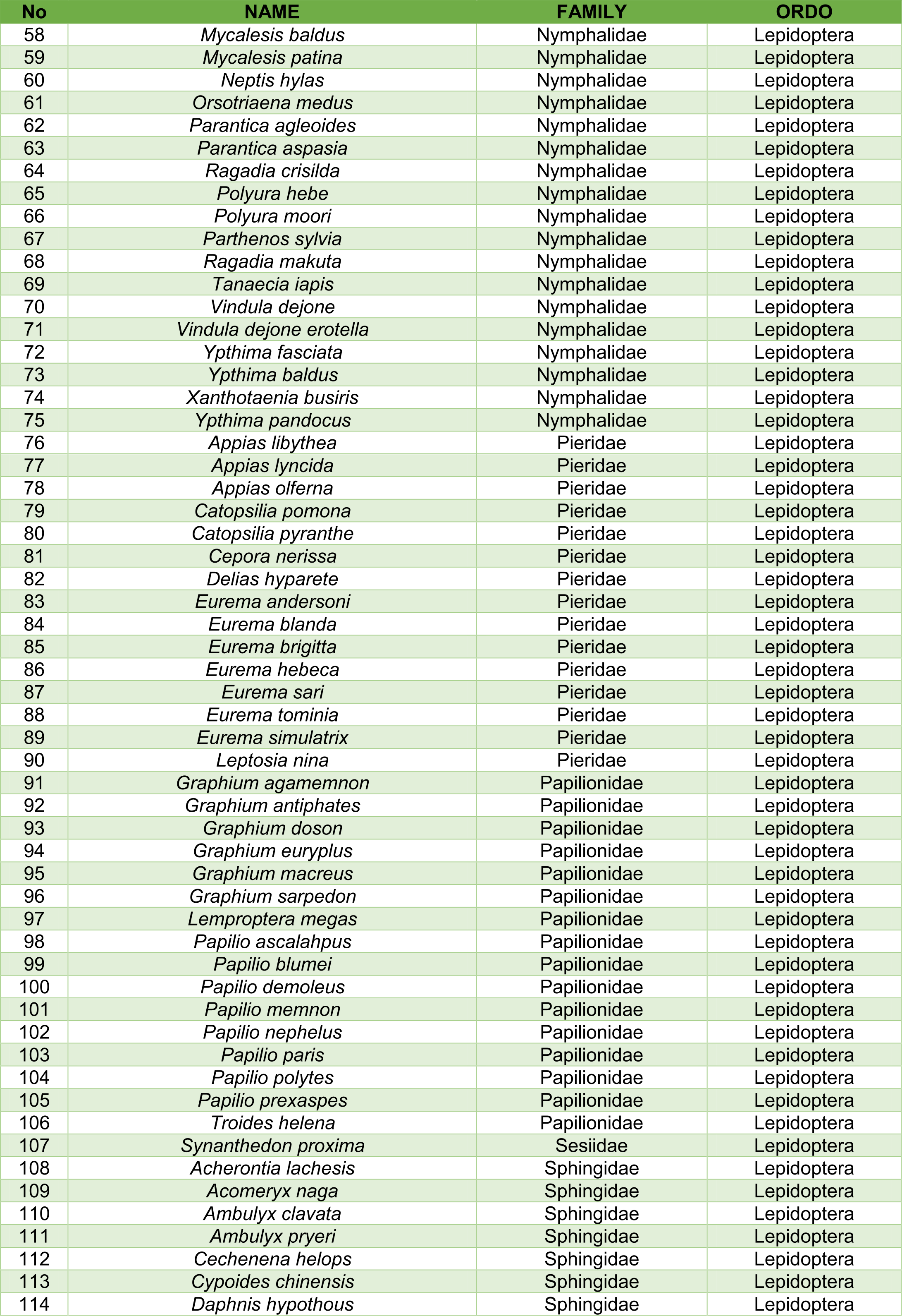 Insect species documentation