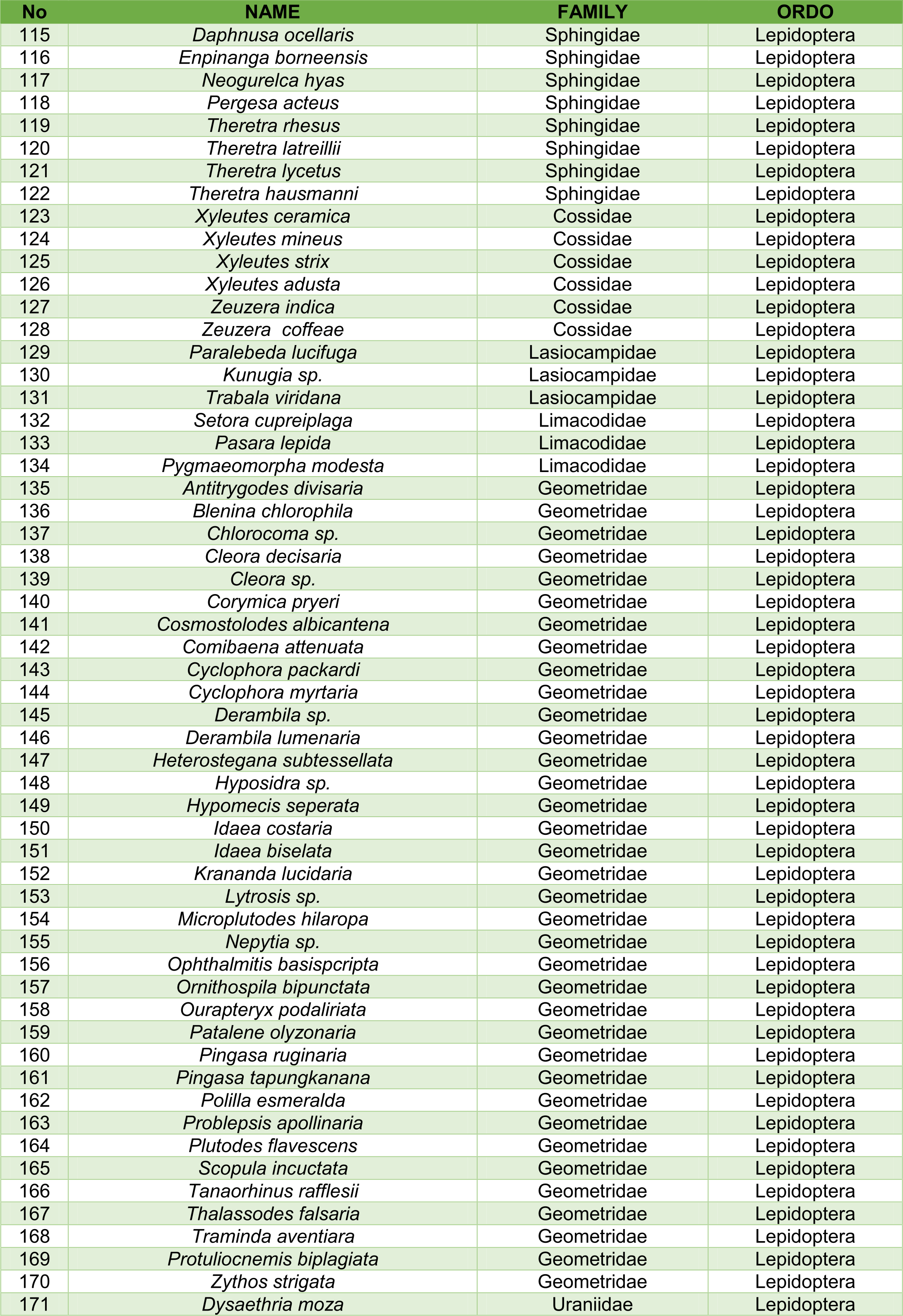 Insect species documentation