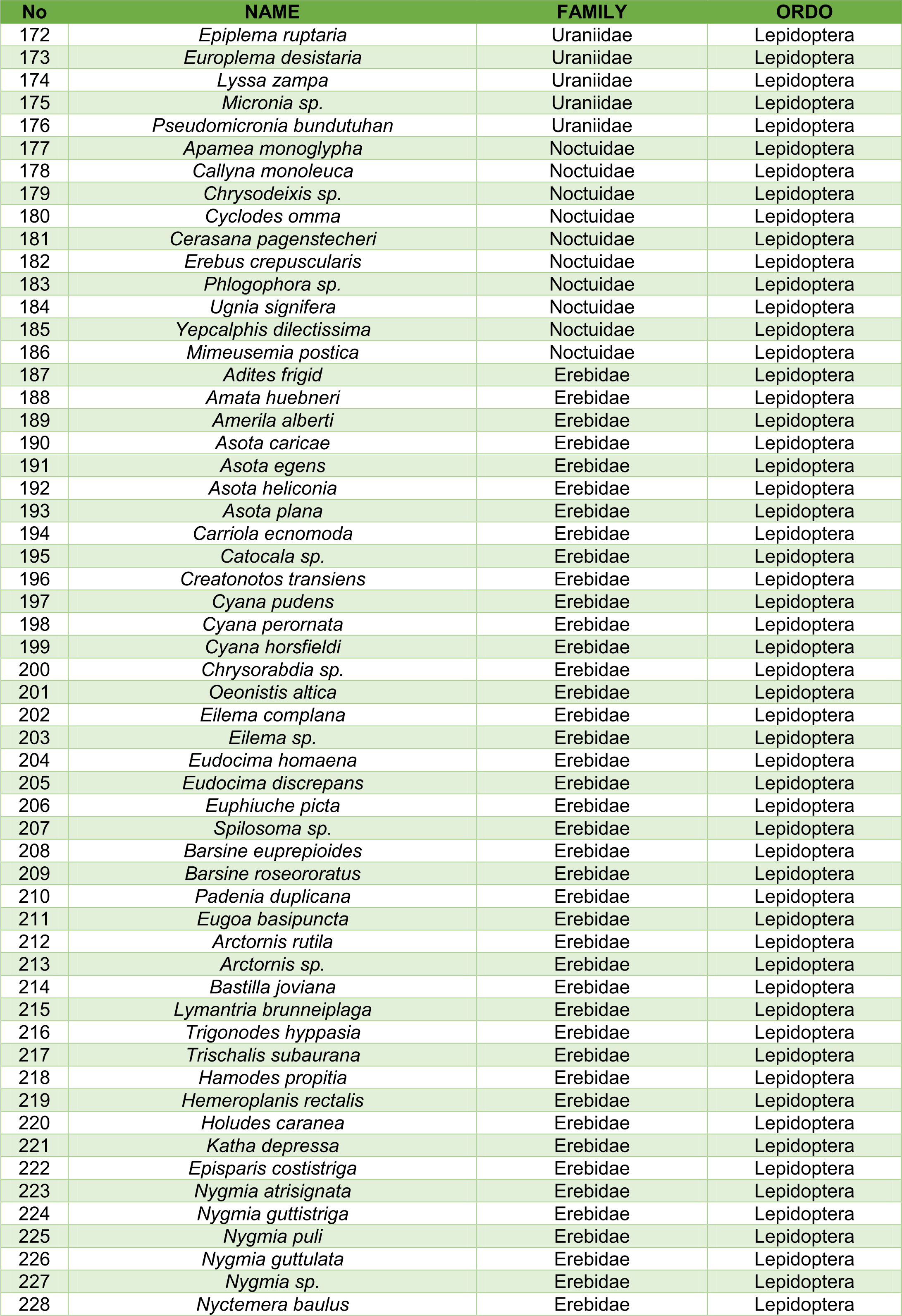 Insect species documentation