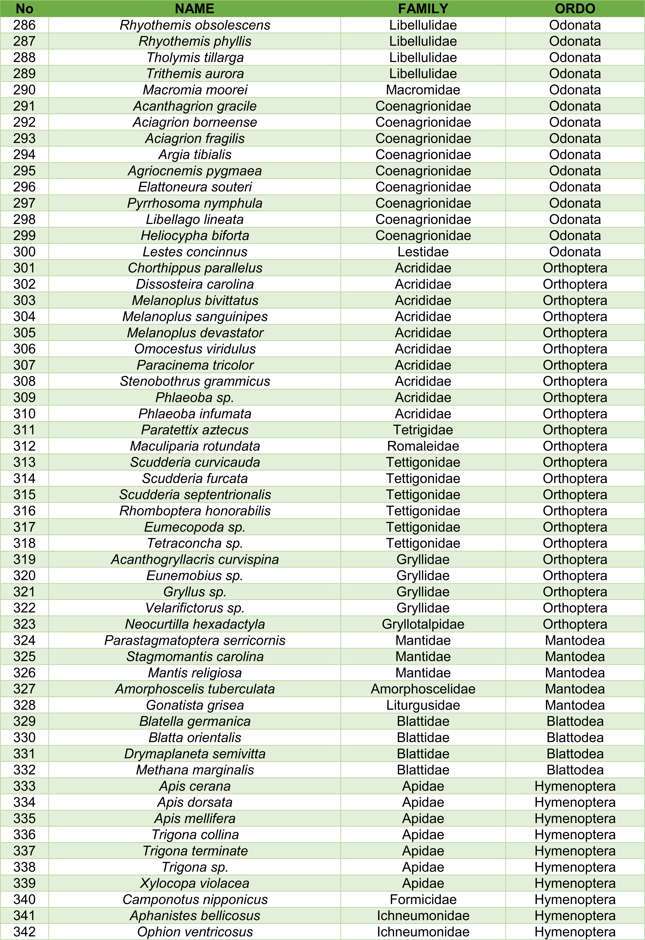Insect species documentation