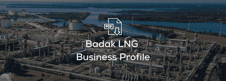 Business Profile PT Badak NGL