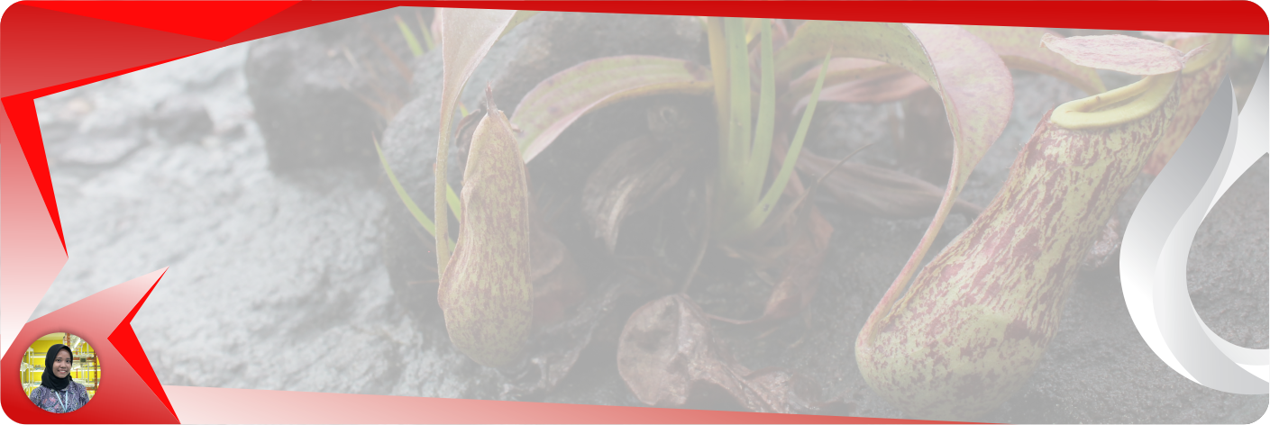 PITCHER PLANTS: DEATH TRAPS FOR INSECTS