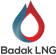 Global LNG Solutions | Badak LNG